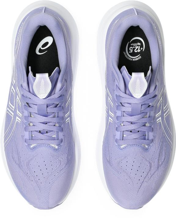 Produktbild ASICS Performance GT-2000 14 (42)
