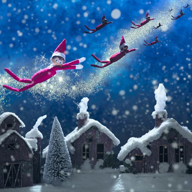 Actual product image Elf on the Shelf Boy (German, 2019)