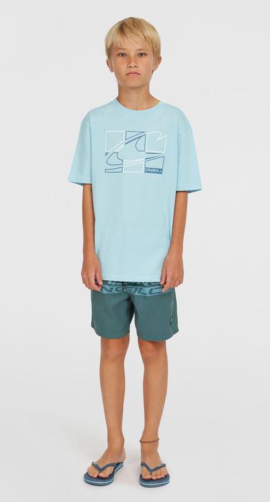 Produktbild O'Neill Cali Stripe 14" Swimshorts (164)