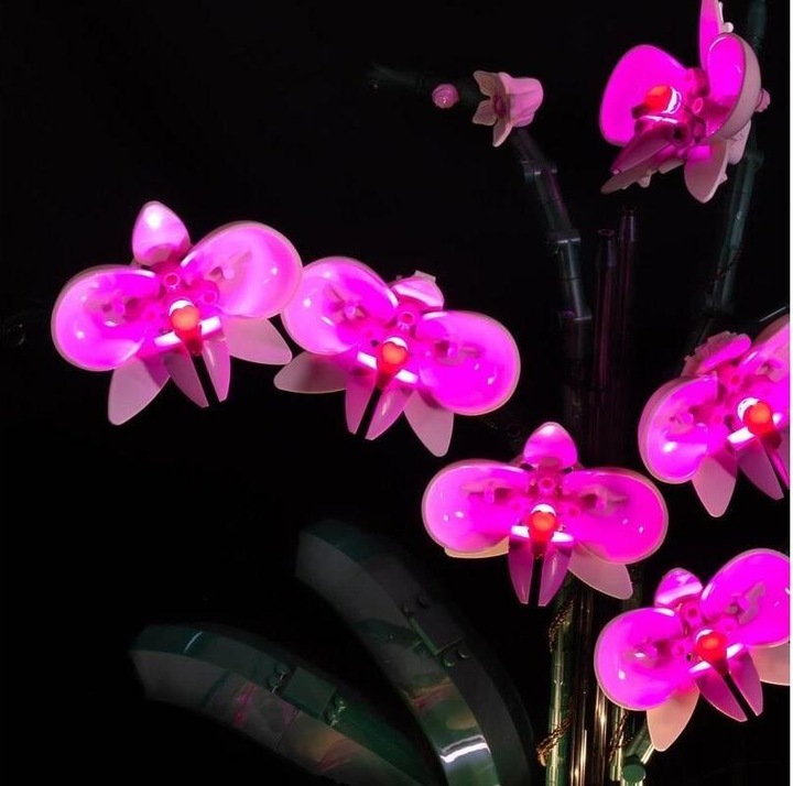 Actual product image Light my bricks LEGO Orchid # 10311 Light Kit