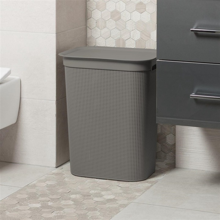 Immagine prodotto Rotho Breezes 1 (50 l)