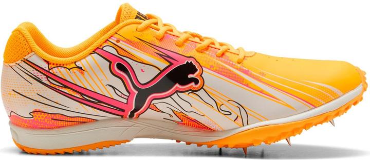 Image du produit Puma evoSPEED Haraka Sparked (39.5)