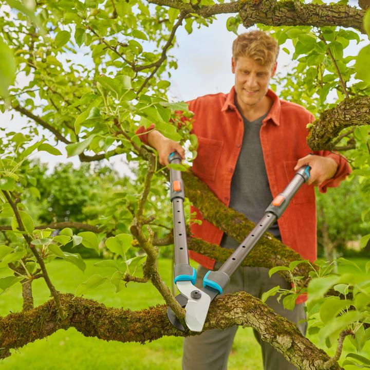 Image du produit Gardena Astschere TeleCut Pro L (grau/türkis, 65cm - 90cm)