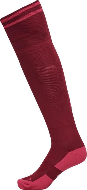bikingredraspberrysorbet