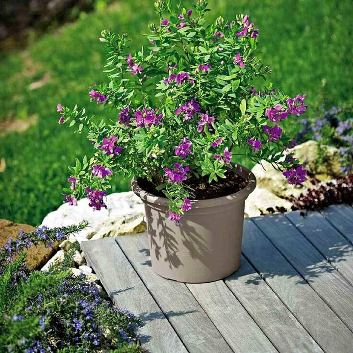 Produktbild Euro3plast Pflanzkübel (55 cm)