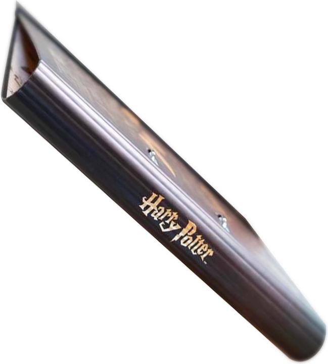 Image du produit Erik Harry Potter - Vif d'Or 2 Anneaux (A4, 1 pcs)