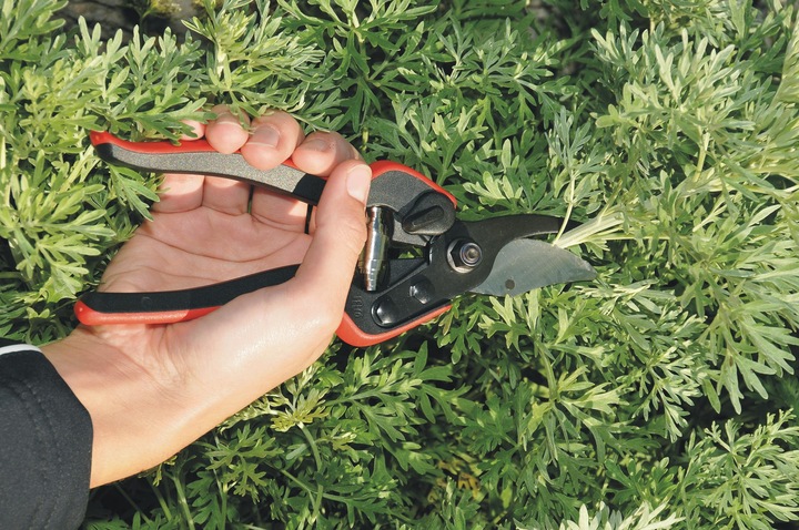 Actual product image Felco Pruning shears