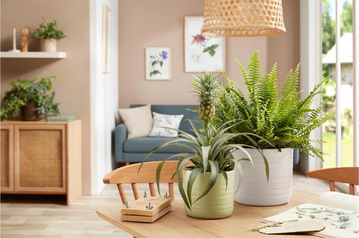 Produktbild Scheurich Cottage Silent Green (16.60 cm)