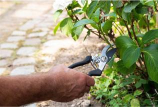 Actual product image Black & Decker Garden tool set 4pc