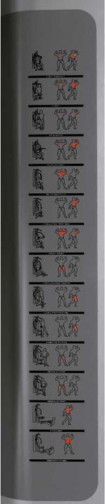 Actual product image BH Fitness Multy-Gym Pro Titanium