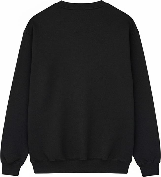 Produktbild Blue Beetle Sweatshirt Jungen (140, 146)