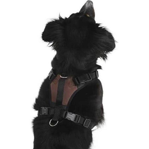 Kerbl Pulsifier (Chien, Sport canin), Collier + laisse