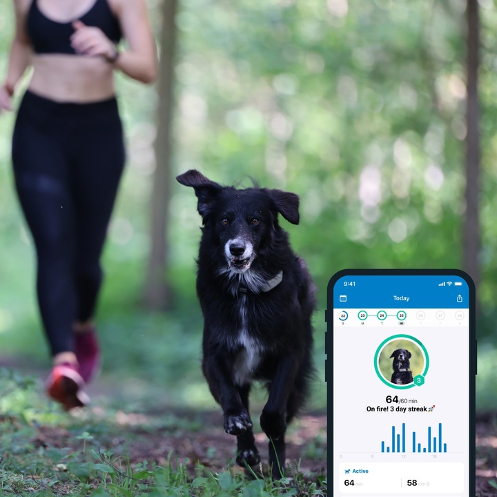 Produktbild Tractive Dog 4 GPS Tracker für Hunde (Hund, Allgemein)