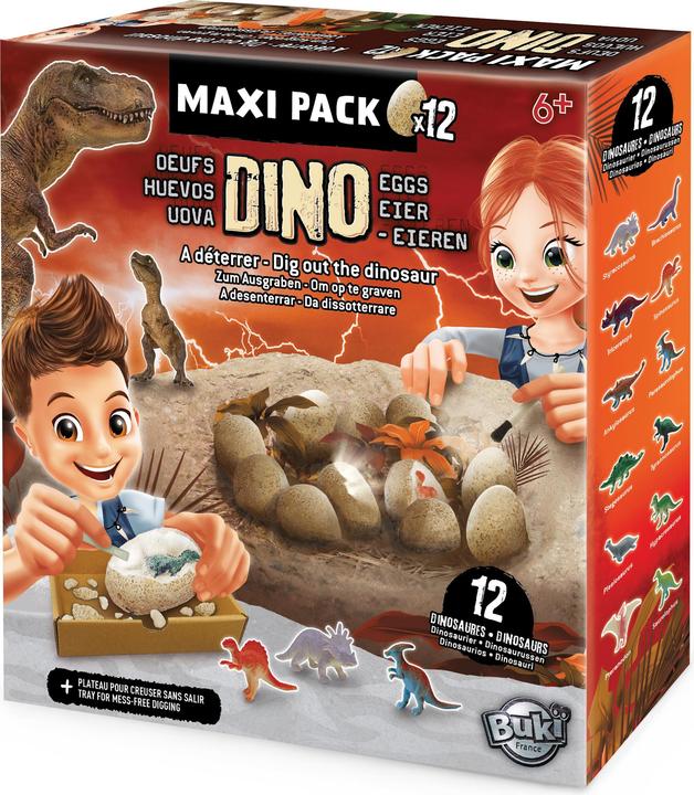Image du produit Buki Coffret Oeufs Dino