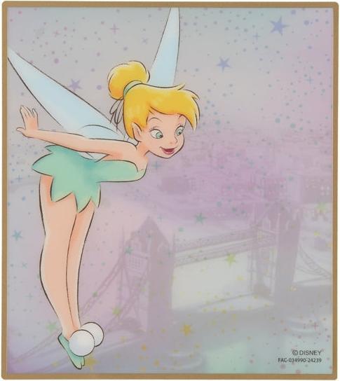 Actual product image Disney Tinkerbell Transparentes Karte
