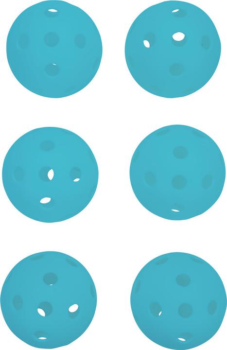 Actual product image Pure Pickleball set of 6