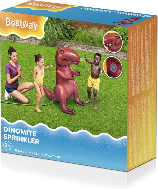 Immagine prodotto Bestway 52294 / 24