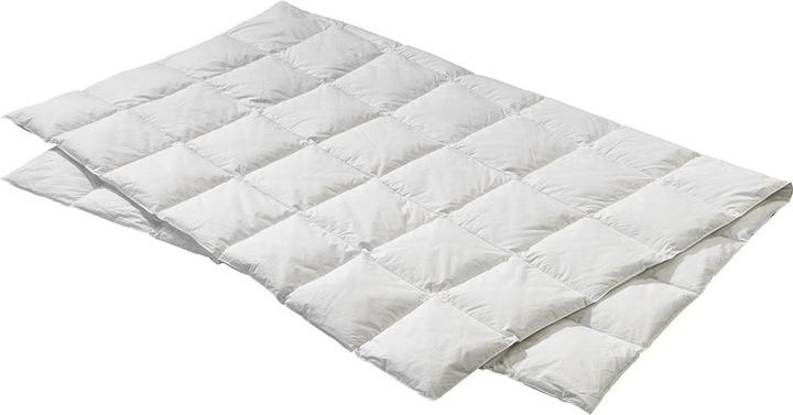 Lipo Myrta Light-billerbeck Edition