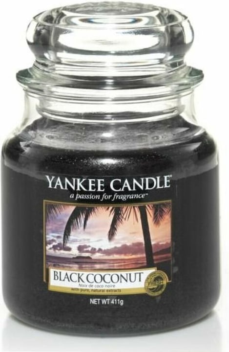 Coconut, Cedar wood, exotic blossoms