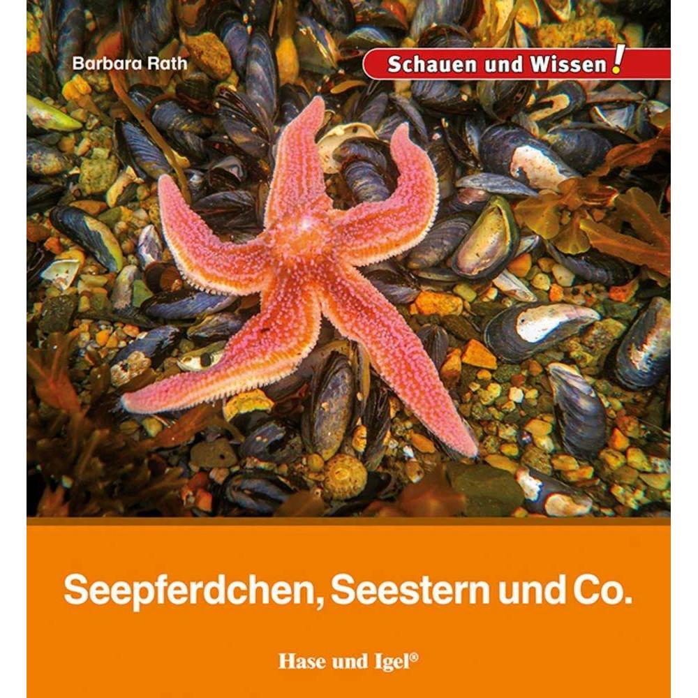 Seepferdchen, Seestern und Co., Kinderbücher von Barbara Rath