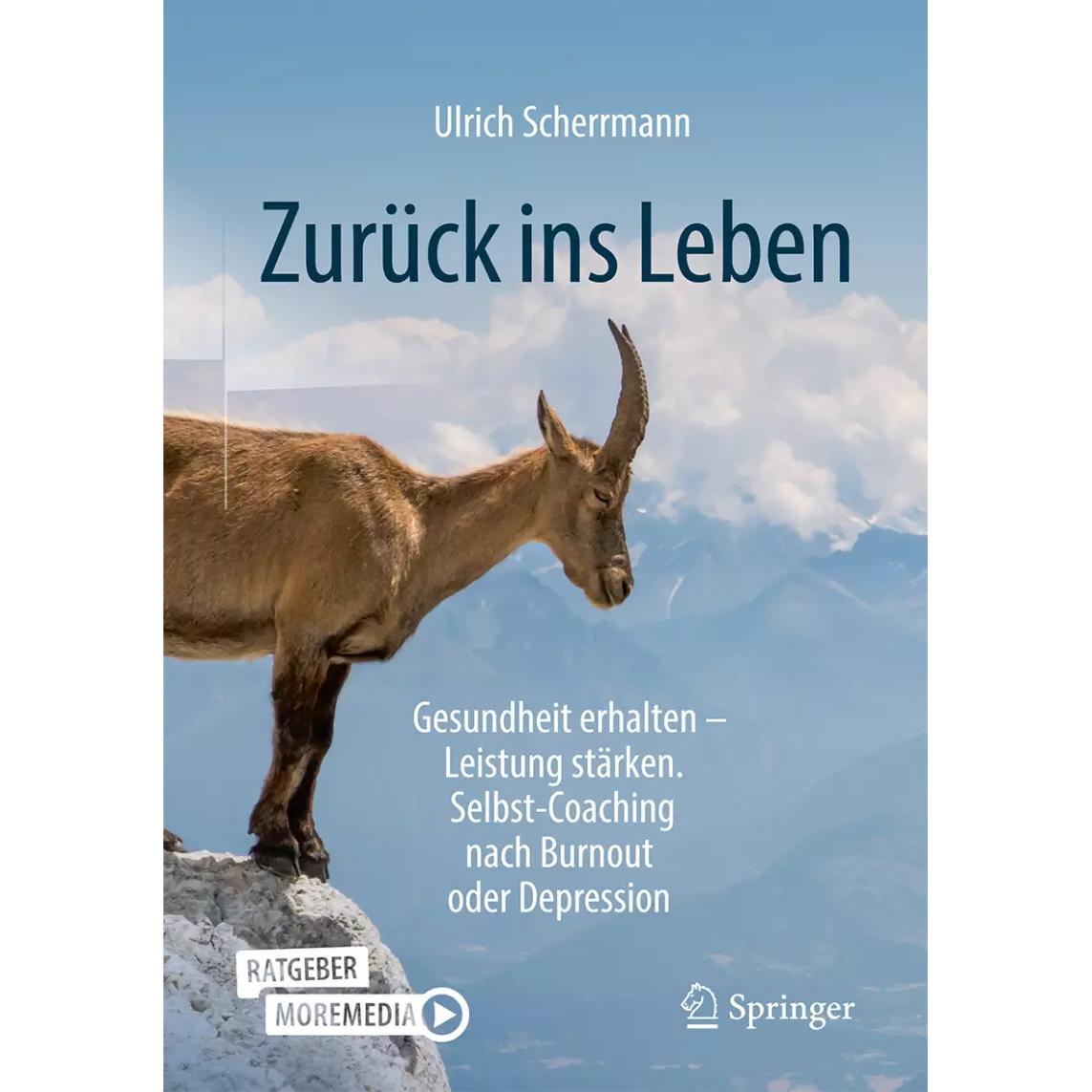 Thumbnail - Zurück ins Leben, Fachbücher von Ulrich Scherrmann