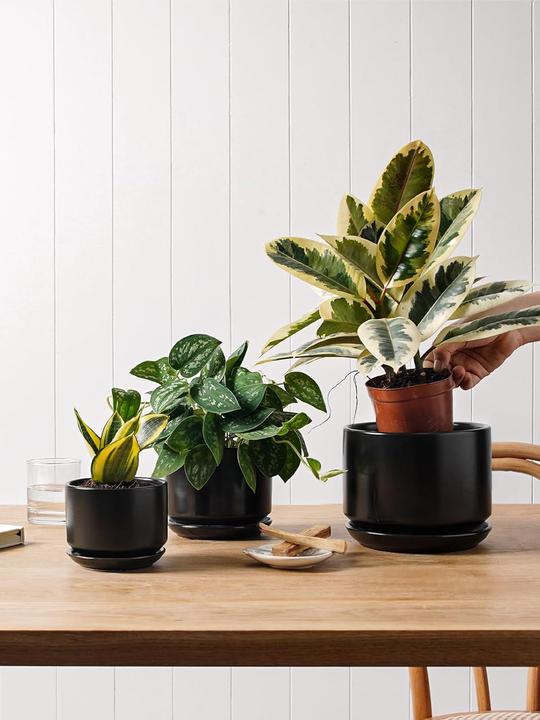Produktbild Le Tauci Keramik Blumentopf-Set mit Untersetzer