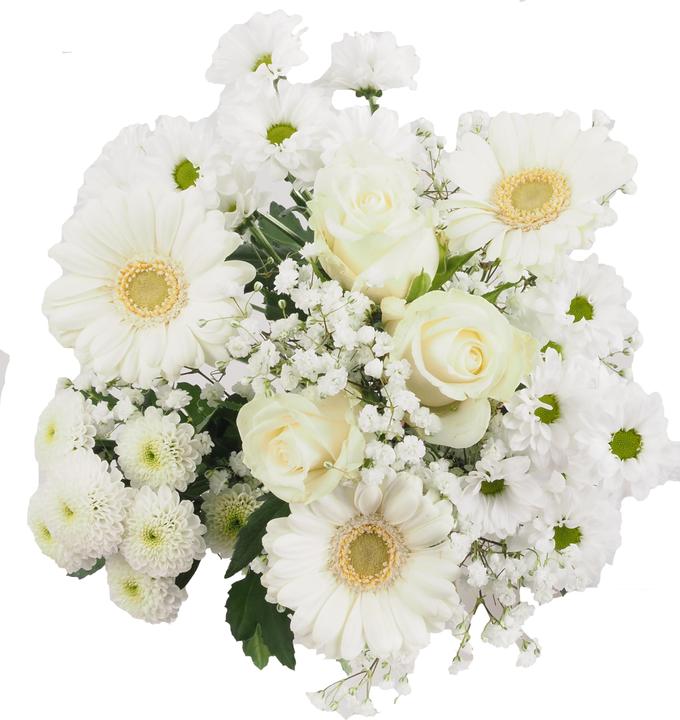 Blanc