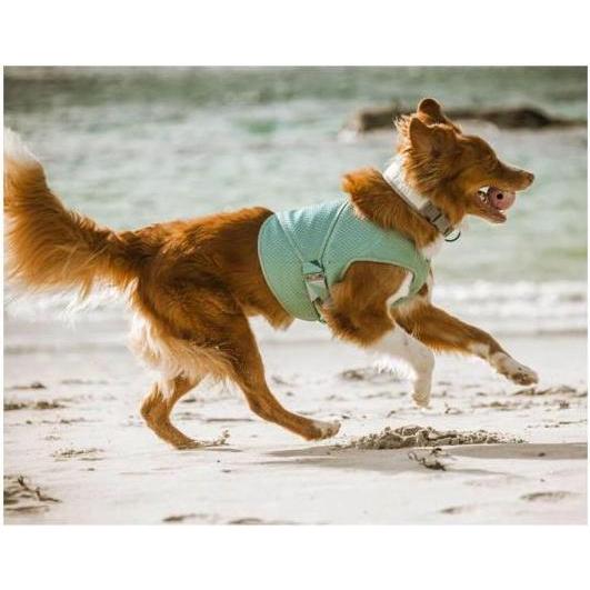 Thumbnail - Hurtta Cooling Wrap aquamarine (XXL, Hundemantel), Hundebekleidung