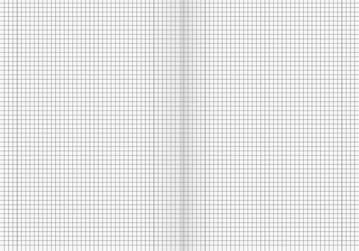 Produktbild Brunnen Schulheft (A4, Kariert, Harter Einband)