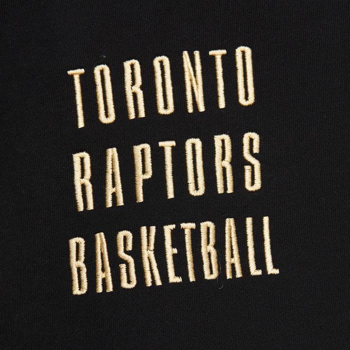 Image du produit Mitchell & Ness sweatshirt à capuche vintage toronto raptors 2.0 (XL)