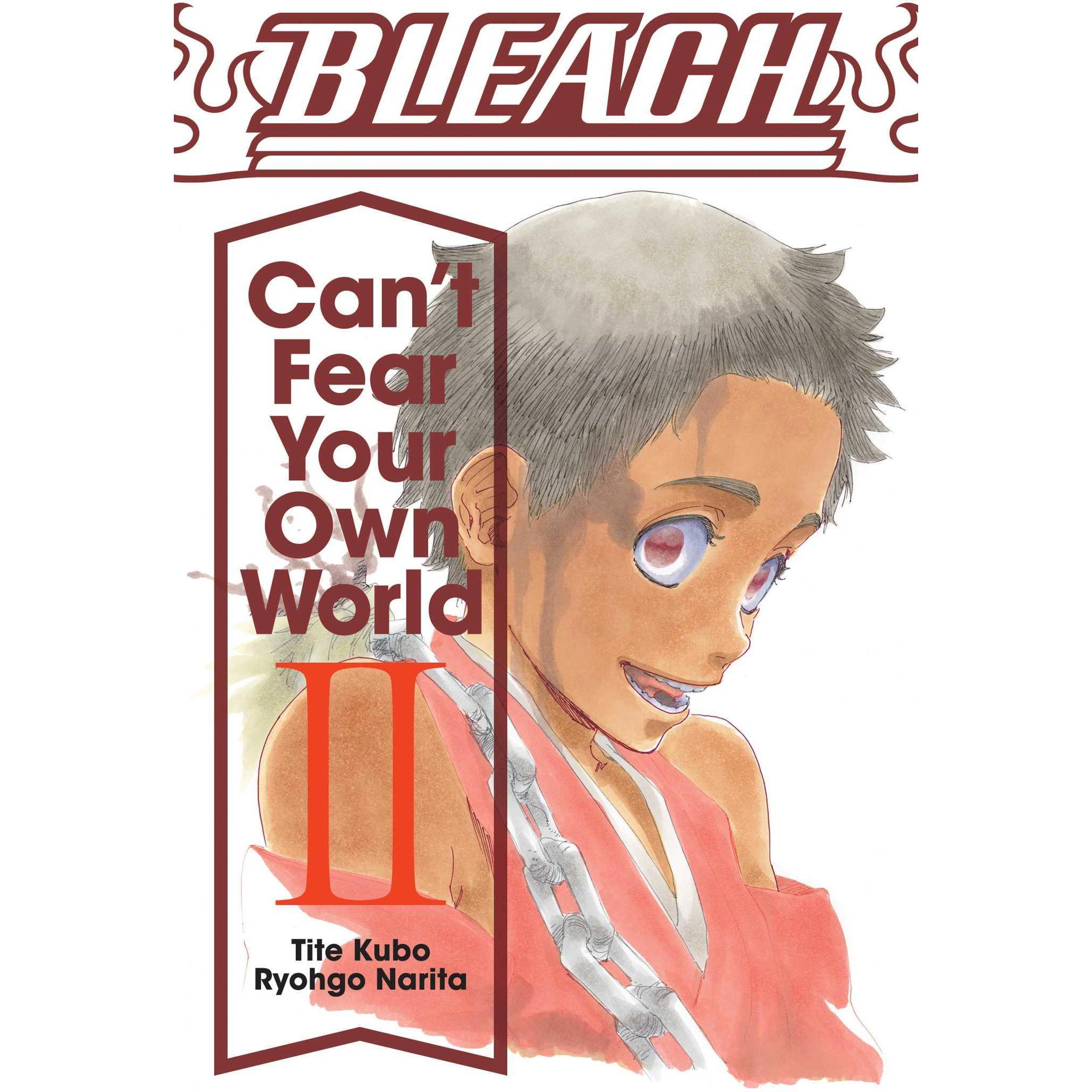 Bleach: Can't Fear Your Own World, Vol. 2, Belletristik von Ryohgo, Kubo Narita
