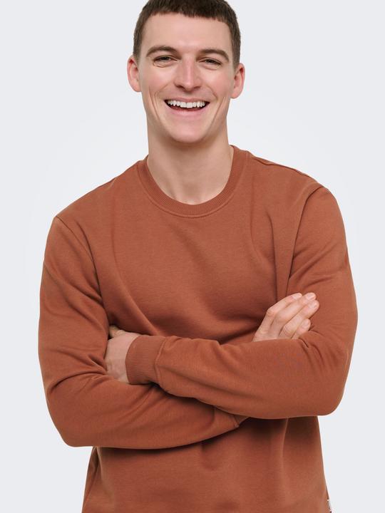 Produktbild Only & Sons Onsconnor Life Reg Crew Neck Sweat Noos (M)