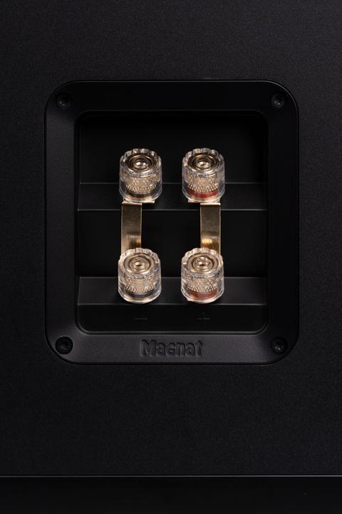 Image du produit Magnat Signature 809 (1 paire)