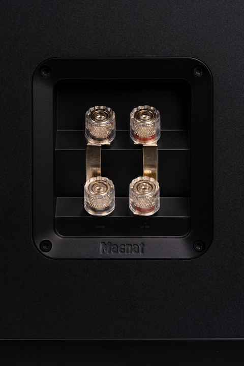 Image du produit Magnat Signature 809 (1 paire)