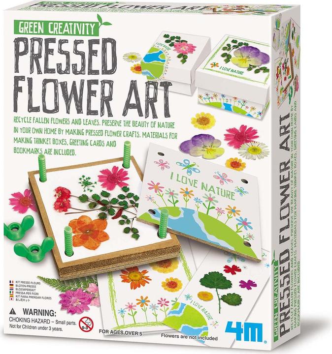 Produktbild 4M Green Creativity/Pressed Flower Art