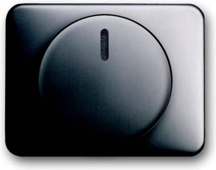 Image du produit Busch-Jaeger Disque central