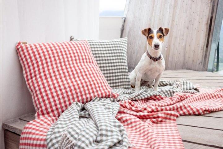 Produktbild Eskimo Decke Maloja 130 x 180 cm, Beige (130 x 180 cm)