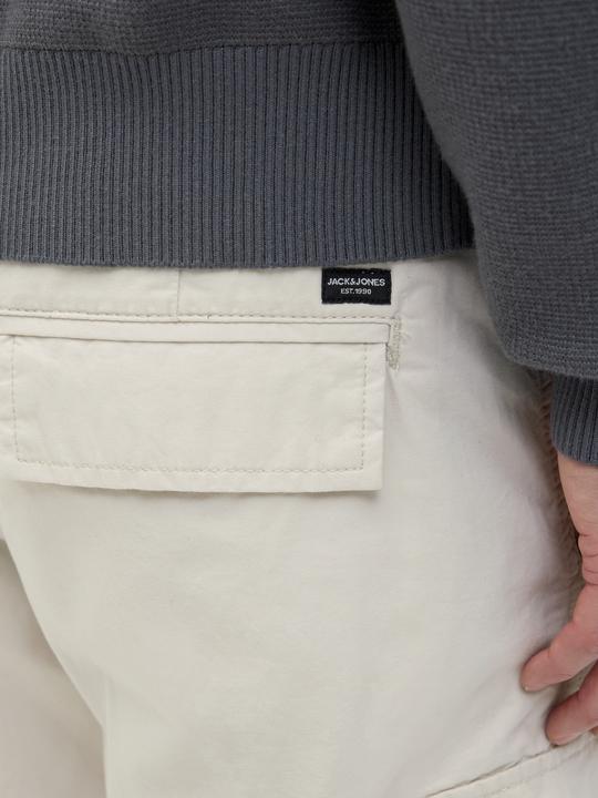 Actual product image Jack & Jones Regular fit cargo shorts Cargo shorts (M)