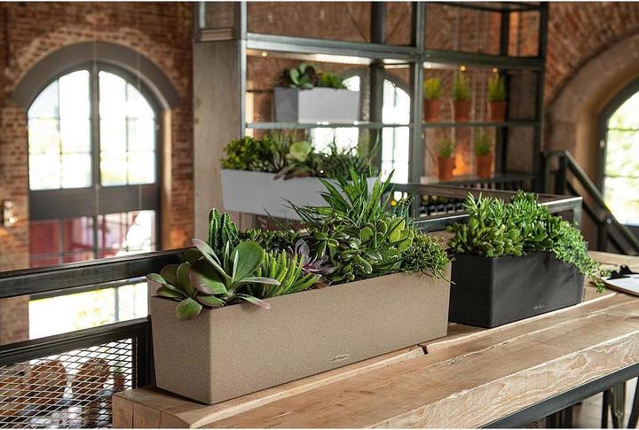 Actual product image Lechuza Balconera (79 x 19 x 19 cm)