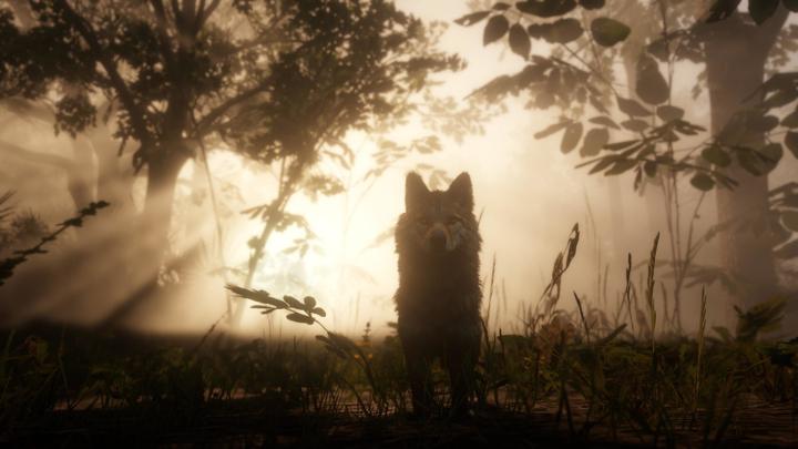 Produktbild 2K Games Red Dead Redemption 2 (Xbox One X, Xbox Series X, FR)