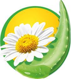 Produktbild Hakle Pflegende Sauberkeit (168 Stück)