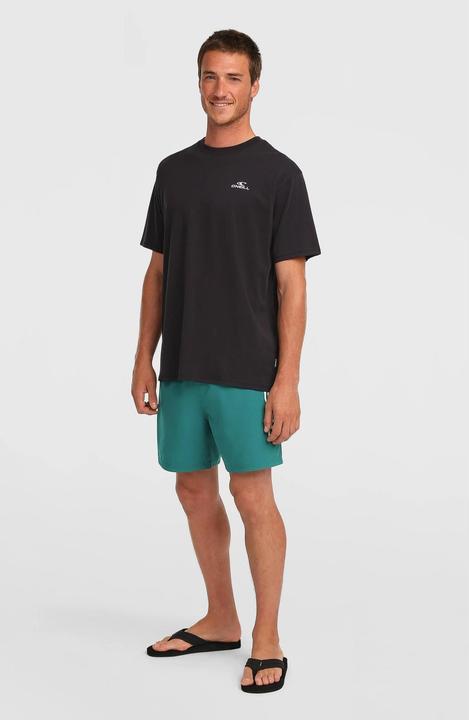 Image du produit O'Neill Beachshorts Logo (M)