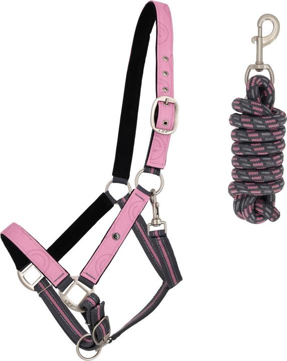 Image du produit Qhp Ensemble licol et longe pour cheval