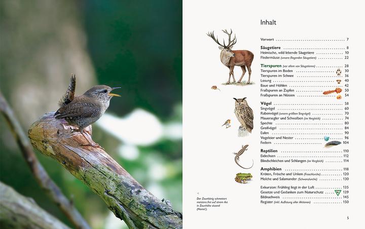 Produktbild Wawra's Naturbuch, Band 1: Säugetiere, Vögel, Reptilien, Amphibien (Deutsch, Johannes Wawra, Ursula Wawra, 2020)