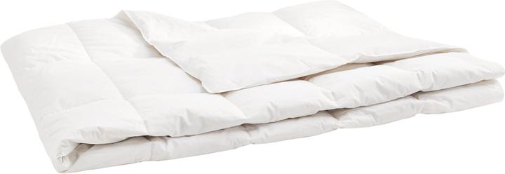 micasa Primadaun (800 g, 160 x 210 cm)