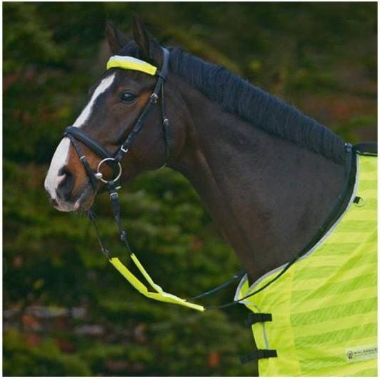 Immagine prodotto Waldhausen Set Snaffle Reflex