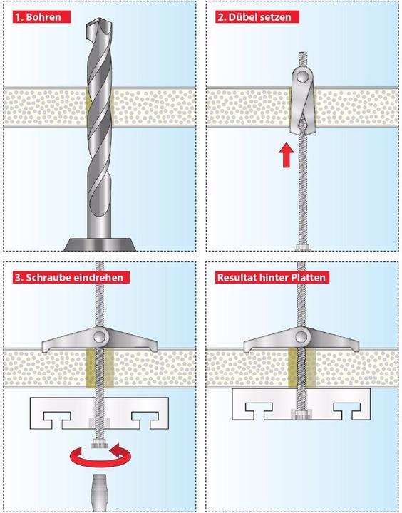 Actual product image Tox Splits (50 pcs.)
