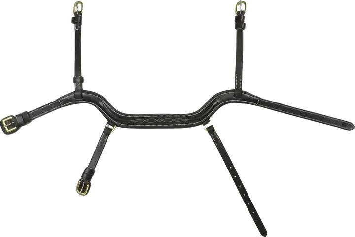 Produktbild PferdeKombihalfter Leder