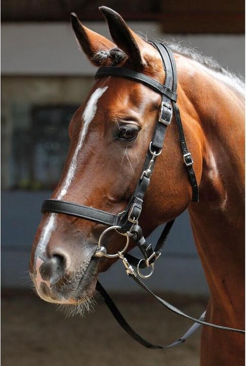 Immagine prodotto Harry's Horse Briglie Snaffle