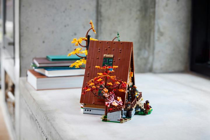 Immagine prodotto LEGO Idee Finn Cottage 21338 (21338, LEGO Ideas, Set LEGO rari)